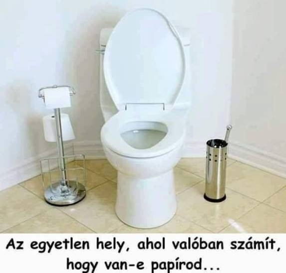 Iskolai végzettség