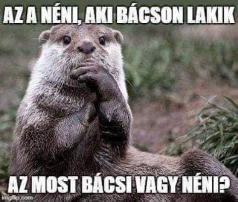 Pénteki zsibbasztó