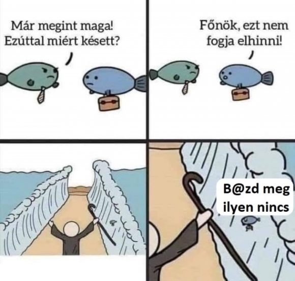 Sokan járnak így reggelente 🙂