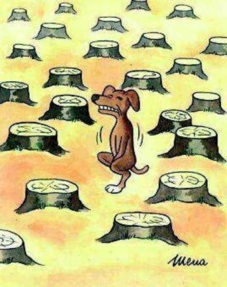 Szegény Buksi, jól kib@sztak vele