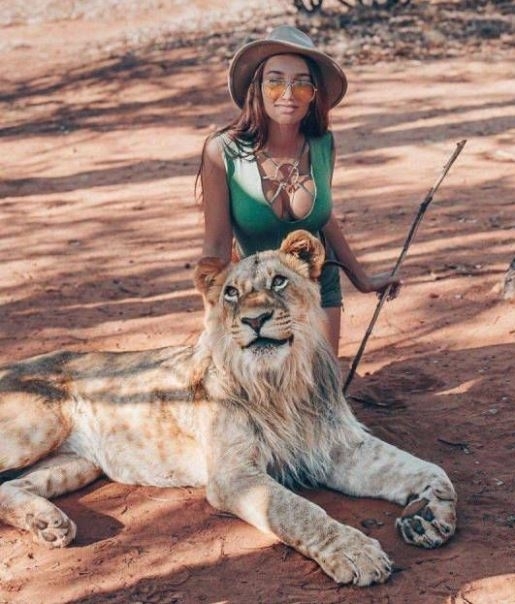 A képen a földkerekség legveszélyesebb élőlénye