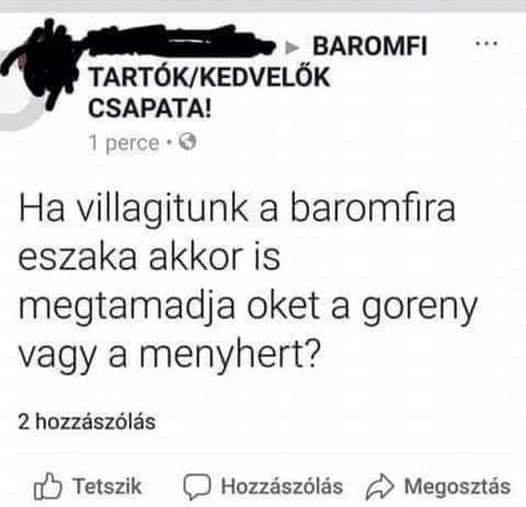 Befutott a nap kérdése