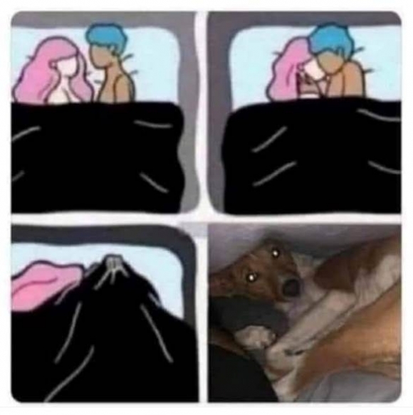 Szeretnéd megnézni, hogy mi van a paplan alatt?