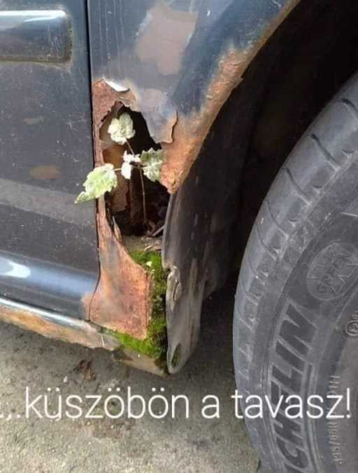 Küszöbön a tavasz