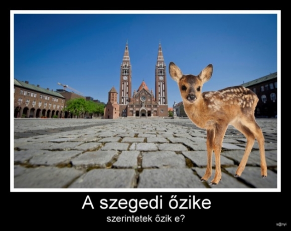 Sándor küldte be a nap kérdését