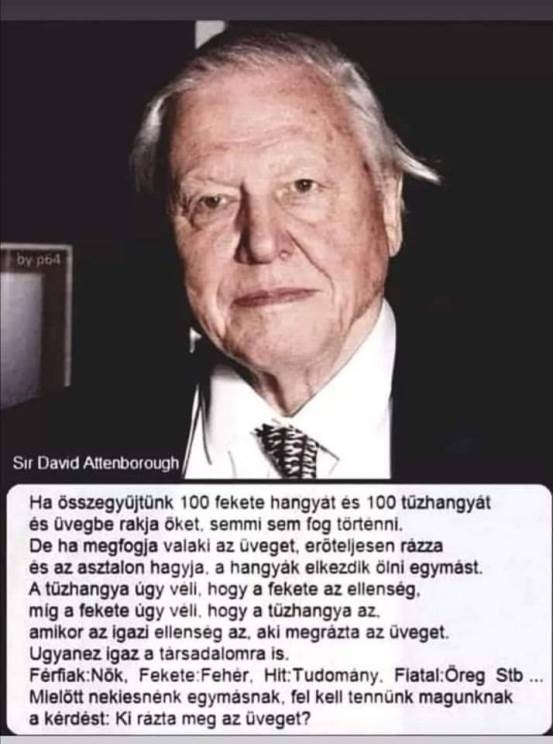 Tedd fel magadban a kérdést