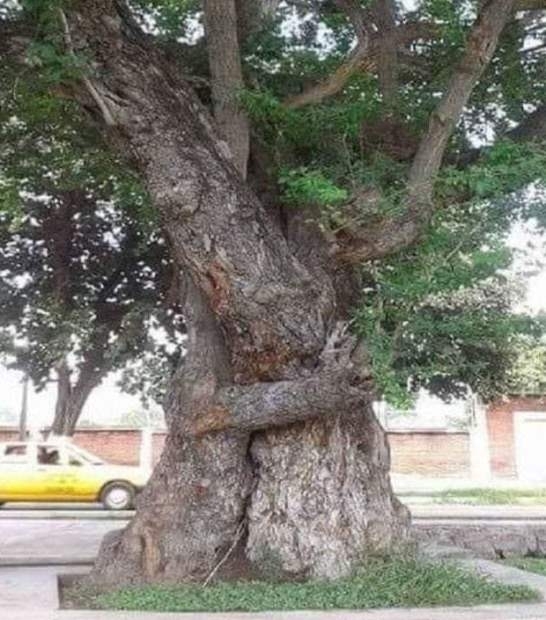 A természet szépsége