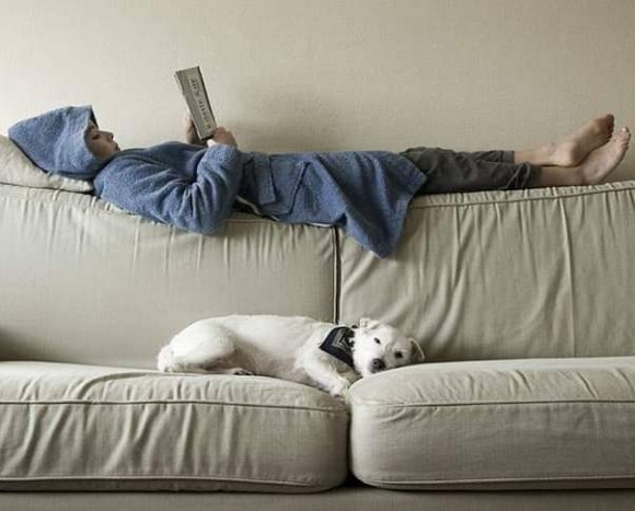 Ha kutyád van, nem te vagy a főnök