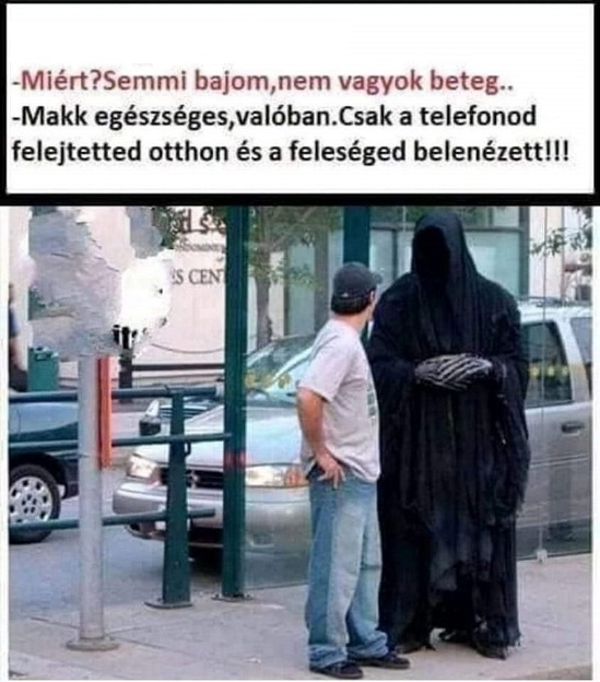 Ne bámulj haver, érted jöttem!