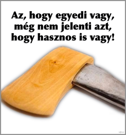 Napi igazságosztó