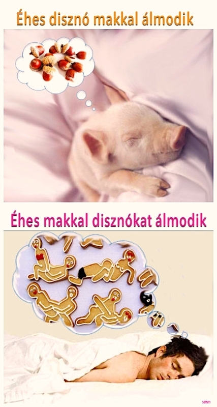 Arról álmodsz, amire vágysz