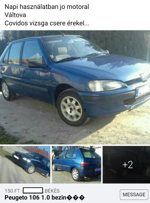 Mire gondolt a költő?