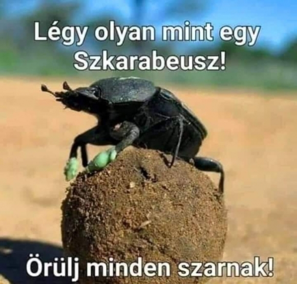 Egy kis motiváció a holnapi munkanaphoz