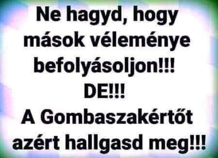 E heti jótanácsunk