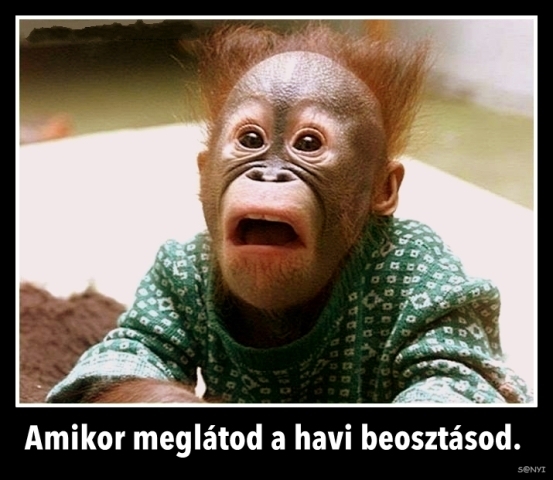 Mindjárt új hónap kezdődik