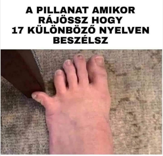 Sokaknak ismerős lehet