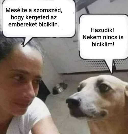 Buksit szembesítik az őt ért vádakkal