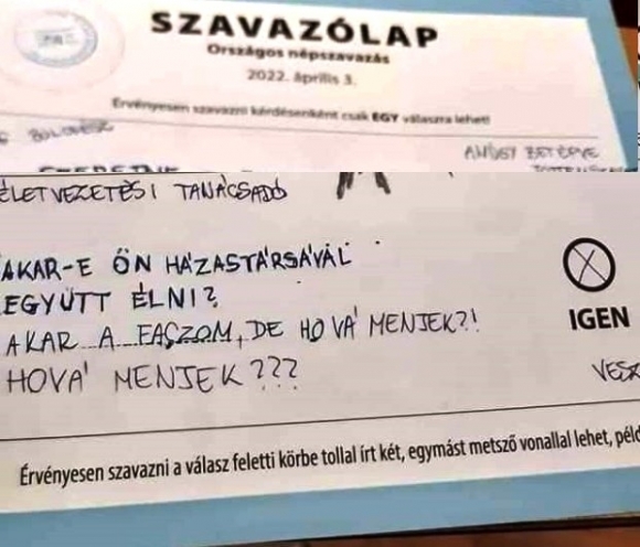 Népszavazási kérdőív