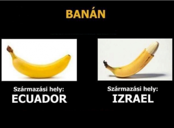 Gazdag vitaminforrás, de ásványi anyagokból még több található benne