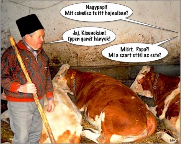 Városi gyerek a nagyfaternál, falun