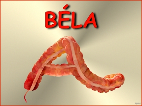 Én kérek elnézést