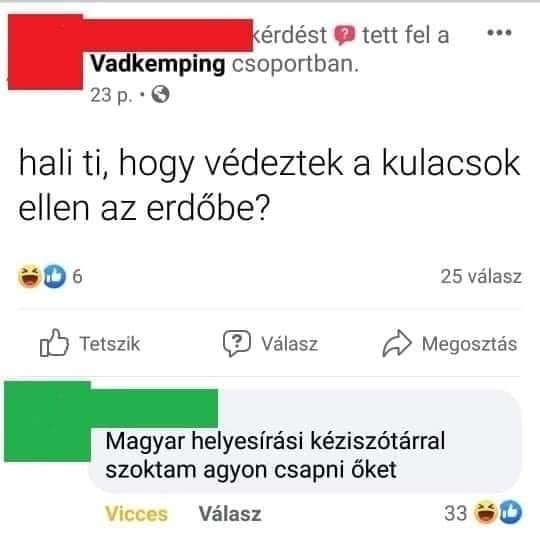 Napi top komment