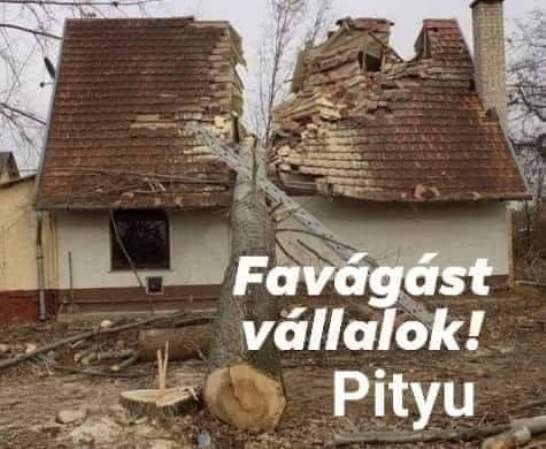 Favágást vállalok jó áron