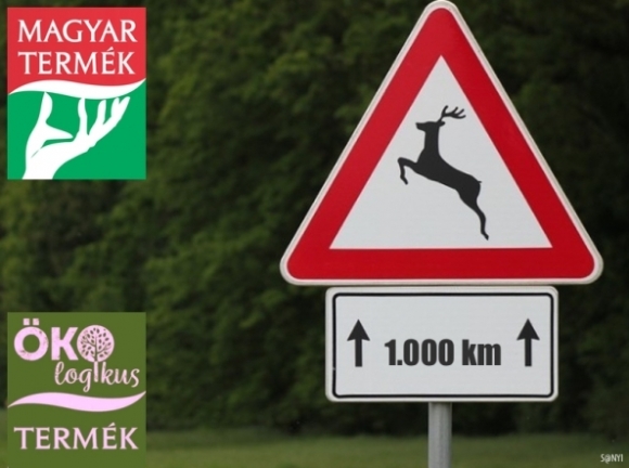 Szarvas veszély mindenhol