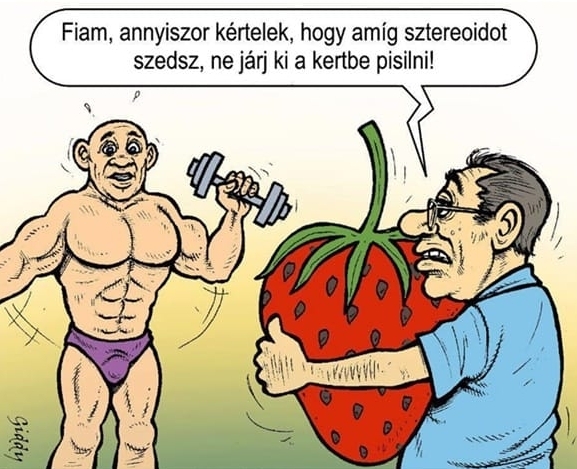 Egy kis segítséggel, de lassan elkészül a nyári forma 🙂