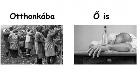 Vasárnapi zsibbasztó