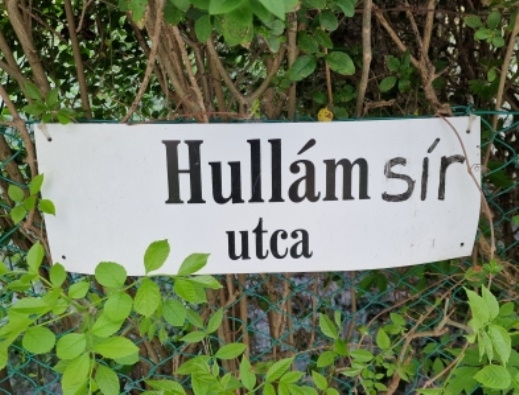 Eközben Szentendrén