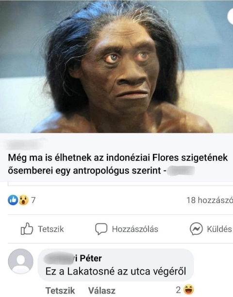 Napi top komment 🙂