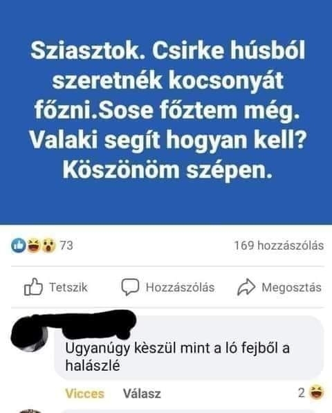 Csak kérni kellett, azonnal segítettek 🙂