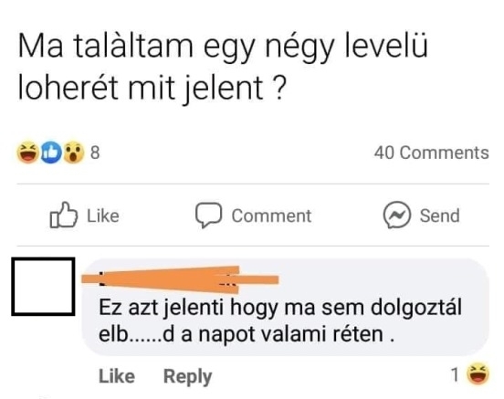 Napi top komment
