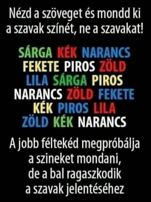 Egy kis érdekesség