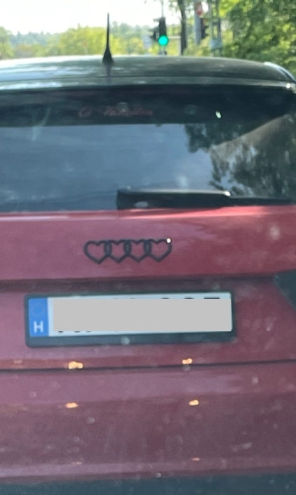 Audi láv