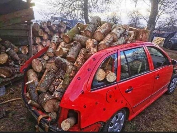 Gazsi most tudta meg, hogy az erdész influenzás