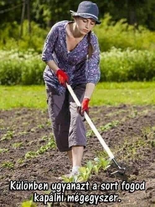 Mindig jusson eszedbe, hogy honnan indultál