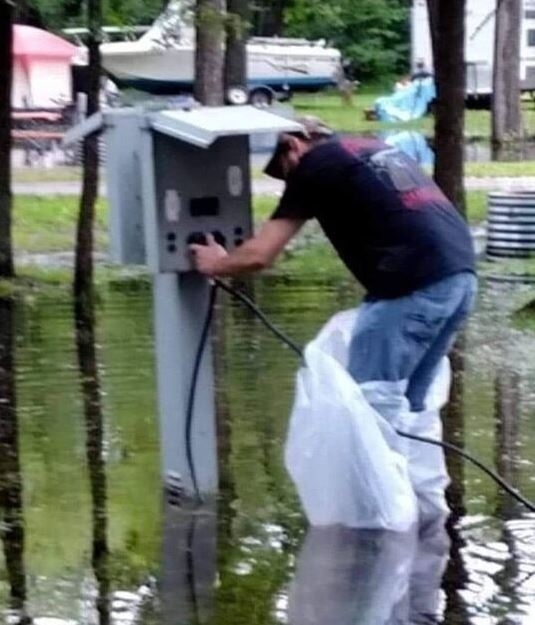 Természetes szelekció