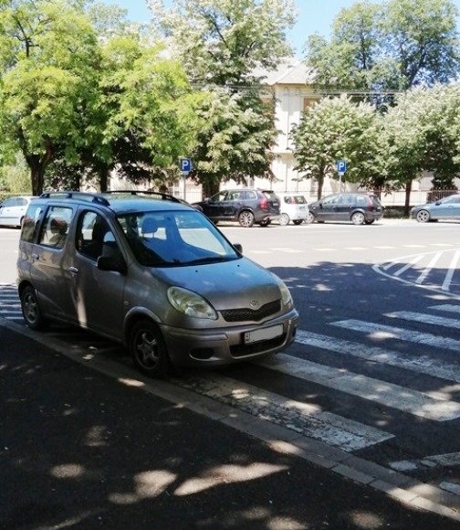Parasztparkoló
