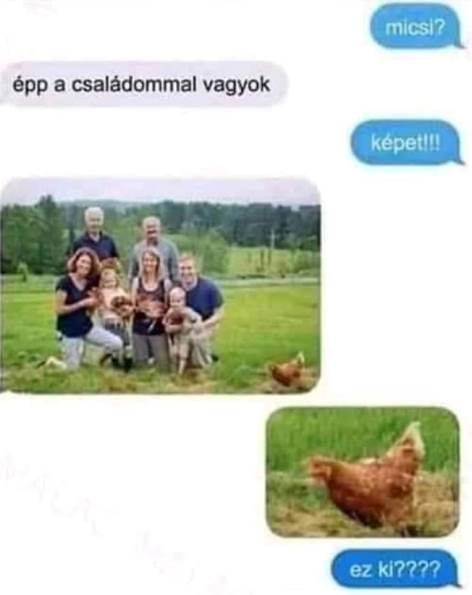 Amikor a csajod egy igazi őrült