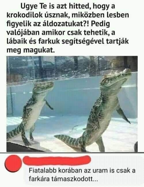Azok a régi szép idők 🙂