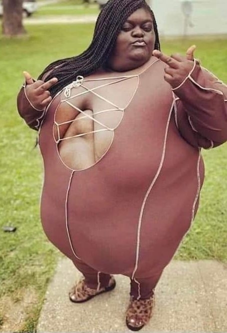 Szárazföldi bálna