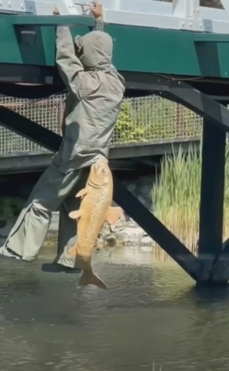 Amikor visszanyal a fagyi