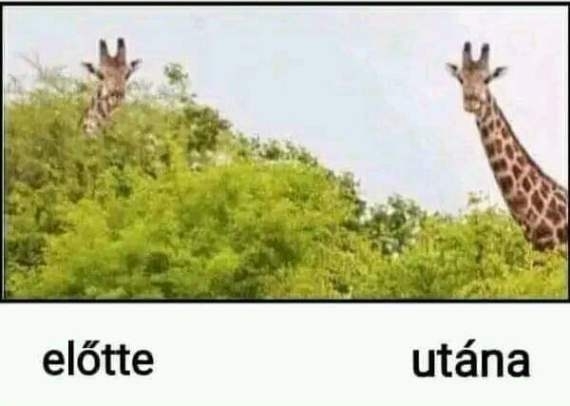 Ezért borotválkoznak a pasik odalent