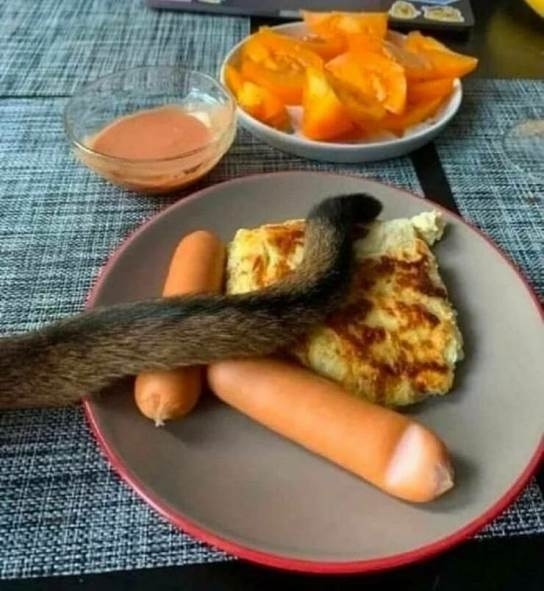 Cirmi már korán reggel nem bír magával