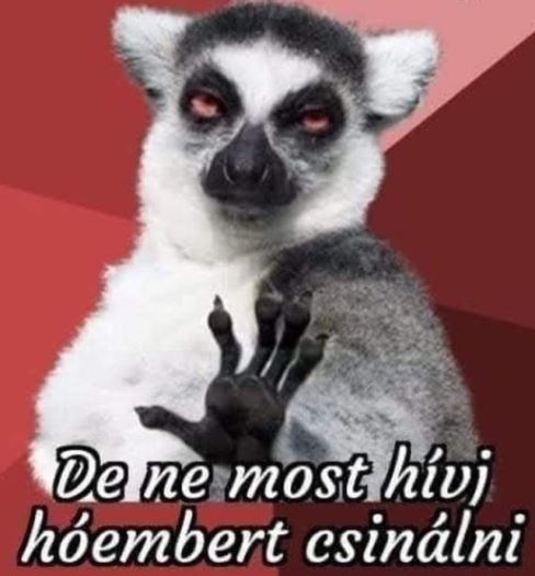 Szeretem az őrültségeket