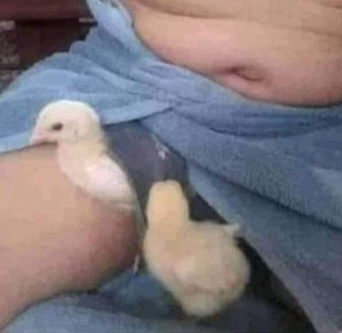 Durva kánikulai idő lesz a héten