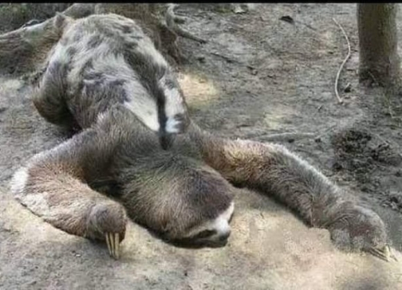 Mai munkakedvem egy képen összefoglalva