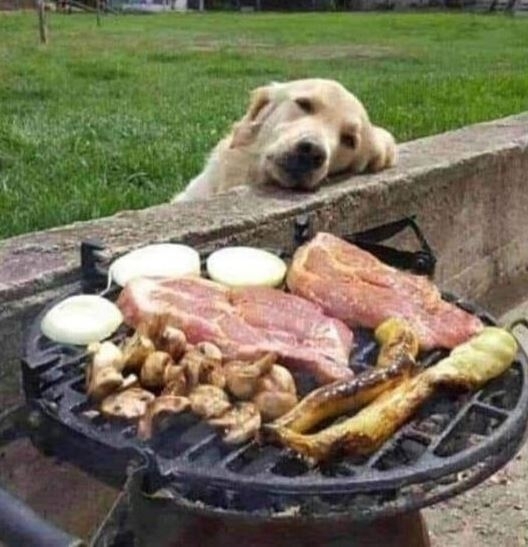 Lassan elkészül az ebéd